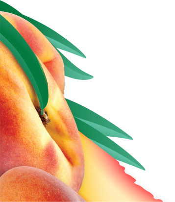 Arizona peaches